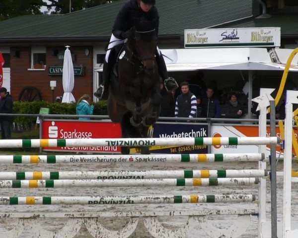 jumper Emilou Harris (Hanoverian, 2005, from Embassy I)