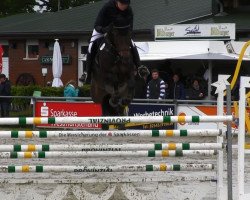 jumper Emilou Harris (Hanoverian, 2005, from Embassy I)