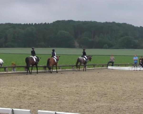 Ponyturnier Billerbeck 2015