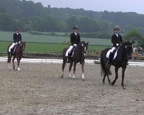 Ponyturnier Billerbeck 2015
