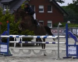 jumper Chaccamo Blue (Oldenburg show jumper, 2007, from Chacco-Blue)