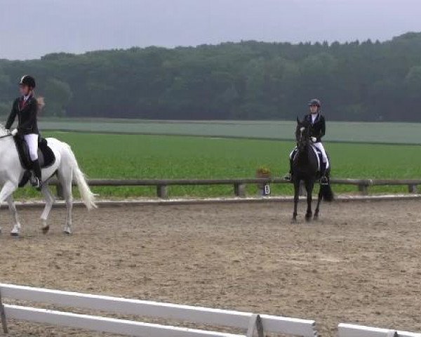 Ponyturnier Billerbeck 2015