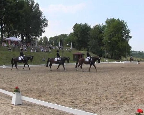 Düsseldorfer Reitertage 2015