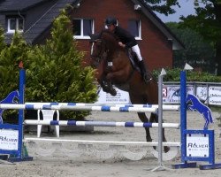 jumper Clarissa 145 (Westphalian, 2009, from Chin Quin)