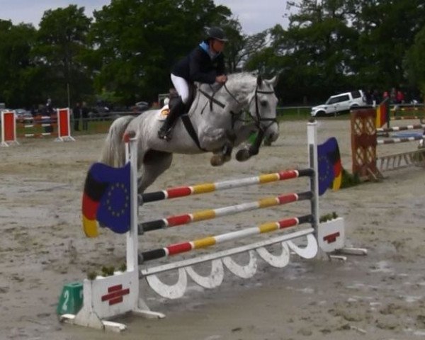 jumper Canone Tn (Westphalian, 2009, from Cornado NRW)