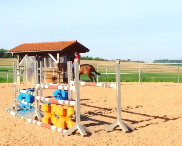 Video of Chloé Céline