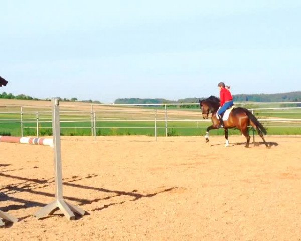 Video of Chloé Céline