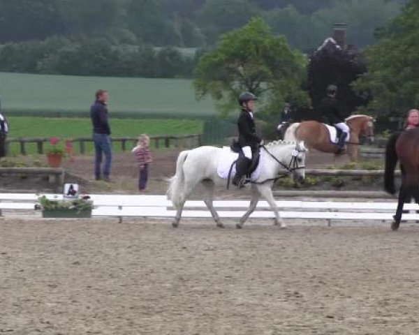 Ponyturnier Billerbeck 2015