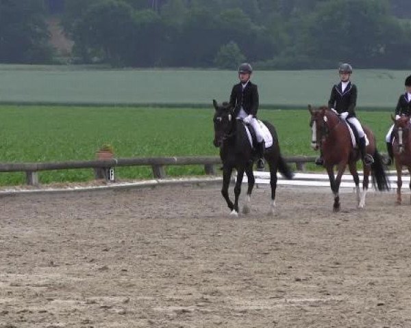Ponyturnier Billerbeck 2015