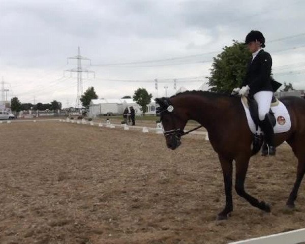 Sommerturnier RFV Heinsberg 2015