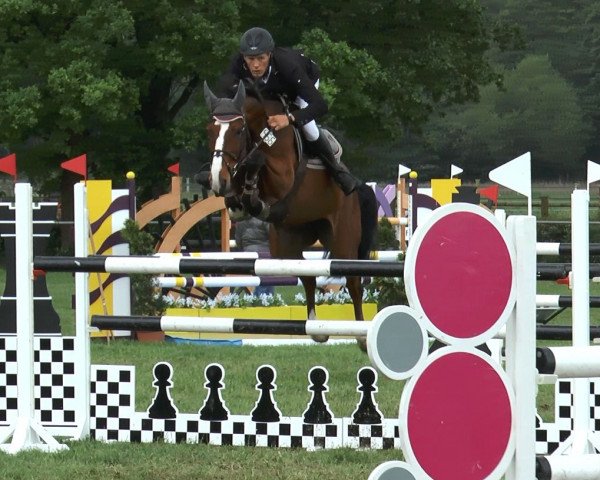 broodmare Chica de La Luna 12 (Oldenburg, 2007, from Checkpoint 19)