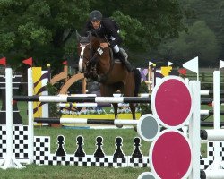 broodmare Chica de La Luna 12 (Oldenburg, 2007, from Checkpoint 19)