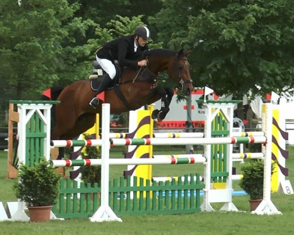 broodmare Salome II (Holsteiner, 2002, from Querida 35)