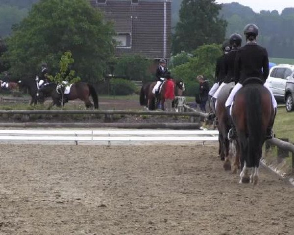 Ponyturnier Billerbeck 2015