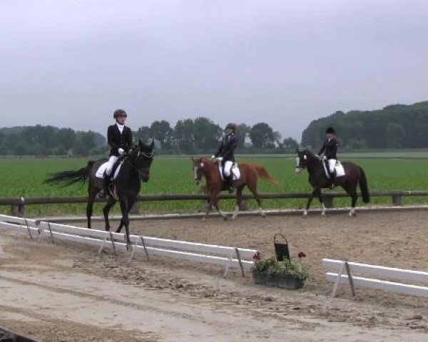 Ponyturnier Billerbeck 2015