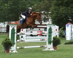 broodmare Phantasie (Westphalian, 2002, from Polytraum)