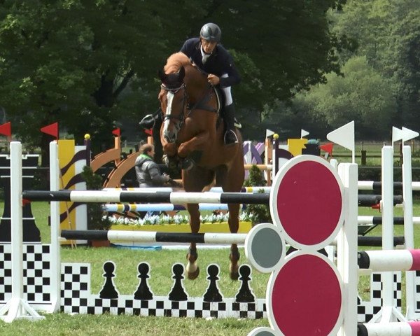 jumper Coco Lavoro (Westphalian, 2004, from Corianus)
