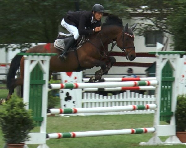 broodmare Quitana 7 (Oldenburg, 2004, from Quick Star)