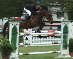 broodmare Quitana 7 (Oldenburg, 2004, from Quick Star)