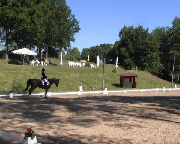 Reitturnier Willich-Anrath-Neersen 2015