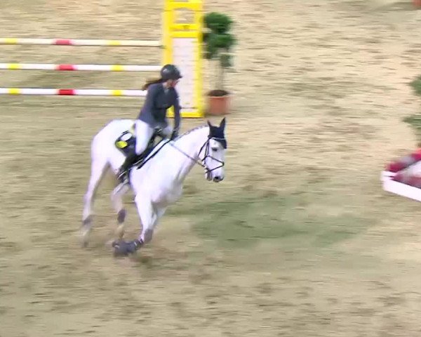 Video of Sambuco