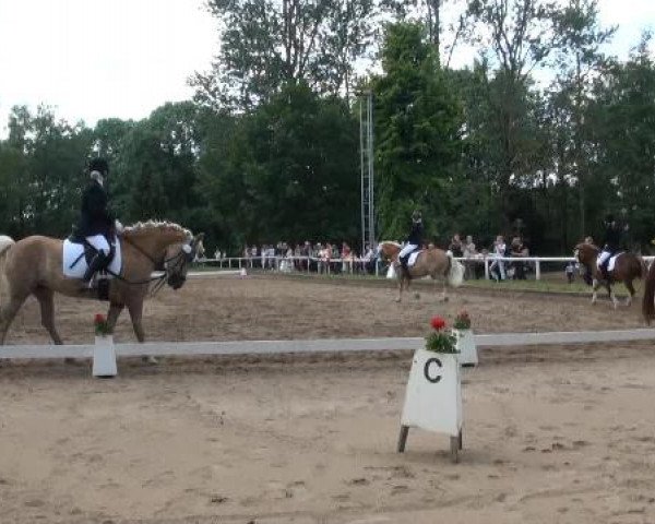 Düsseldorfer Reitertage 2015
