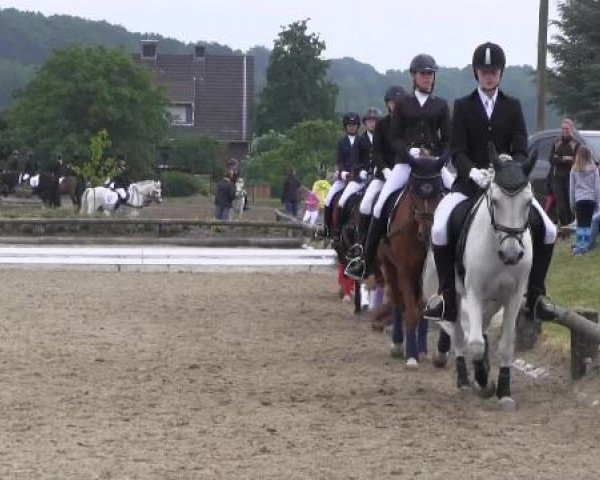 Ponyturnier Billerbeck 2015