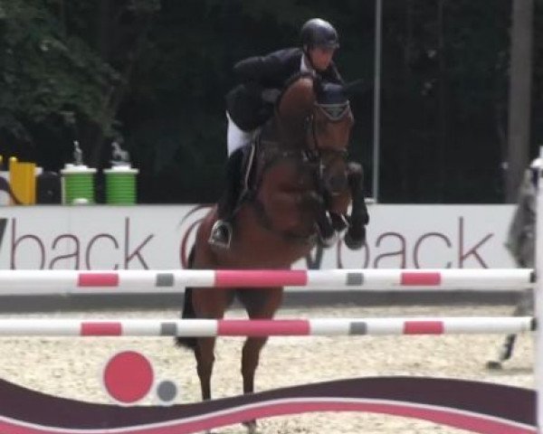 jumper Lexus (Hanoverian, 2008, from Lord Pezi)