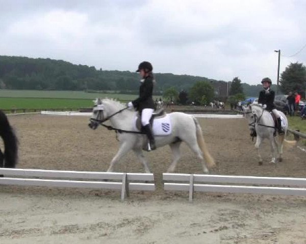 Ponyturnier Billerbeck 2015