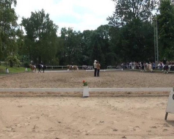 Düsseldorfer Reitertage 2015