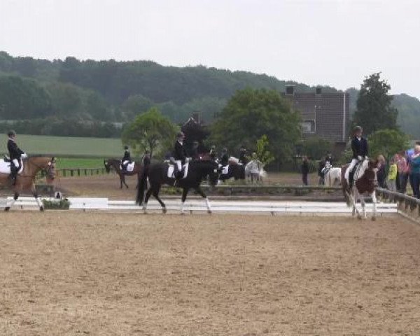 Ponyturnier Billerbeck 2015