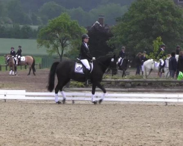 Ponyturnier Billerbeck 2015