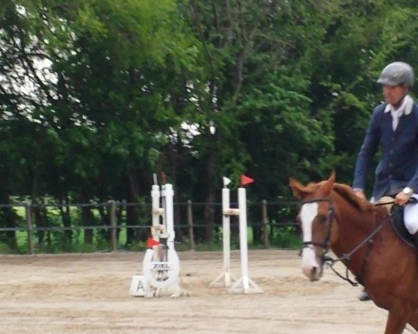 Video of Cashmere Touch