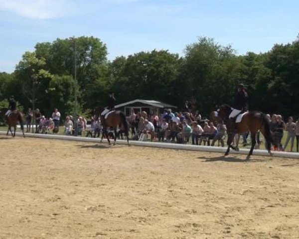 Sommerturnier Lohmar-Hausdorp 2015
