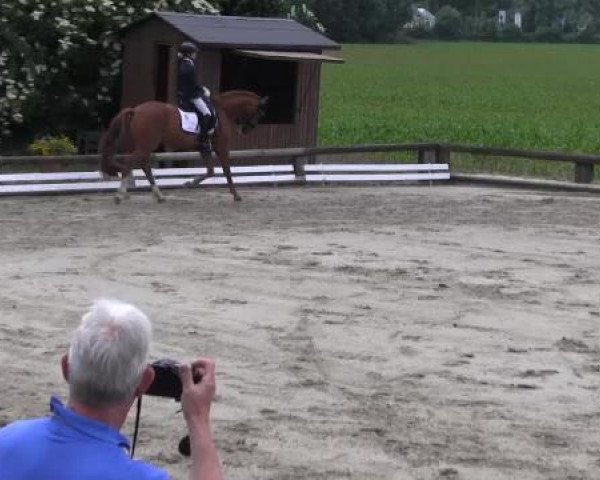 Ponyturnier Billerbeck 2015