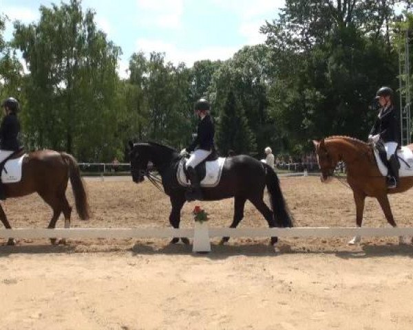 Düsseldorfer Reitertage 2015