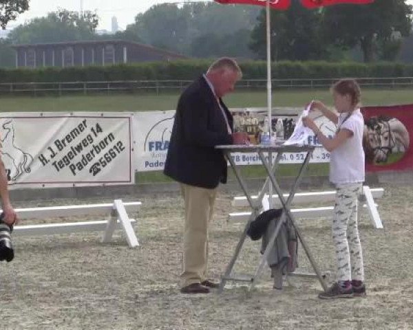 Stuten- und Fohlenschau Paderborn, 14.06.2015, LVM-Sichtung Fohlenchampionat, Reitpferde - Hengstfohlen -