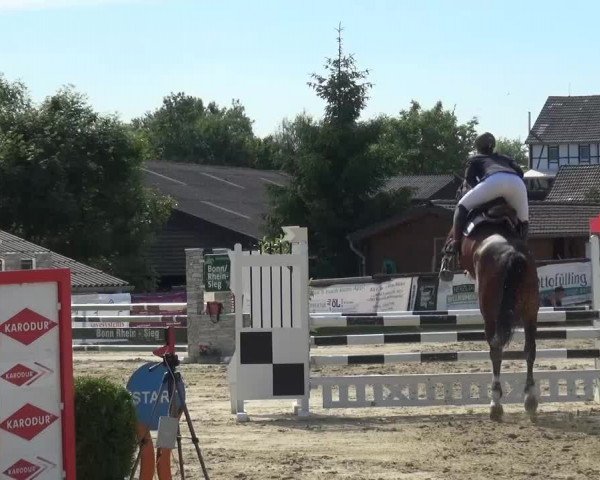 Sommerturnier Lohmar-Hausdorp 2015