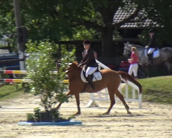 Sommerturnier Lohmar-Hausdorp 2015