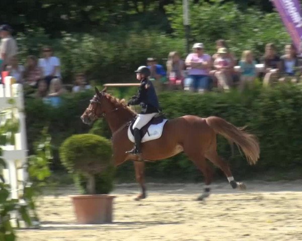 Sommerturnier Lohmar-Hausdorp 2015