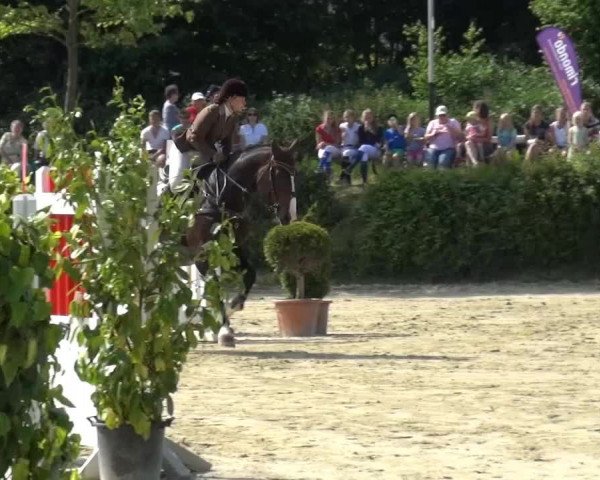 Sommerturnier Lohmar-Hausdorp 2015