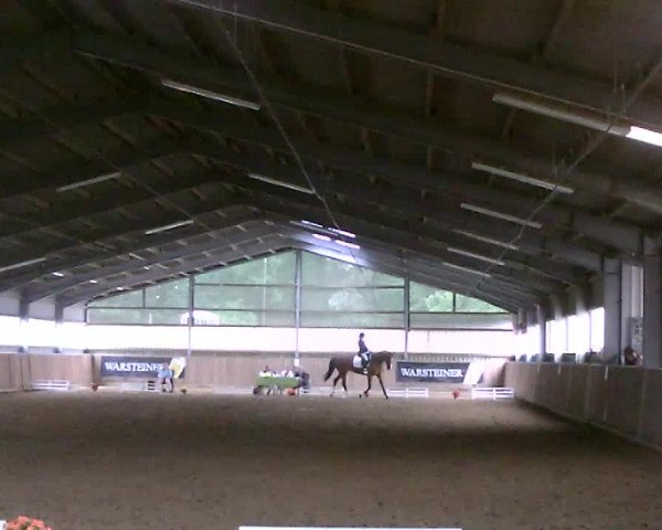Video von Zolibria Weering