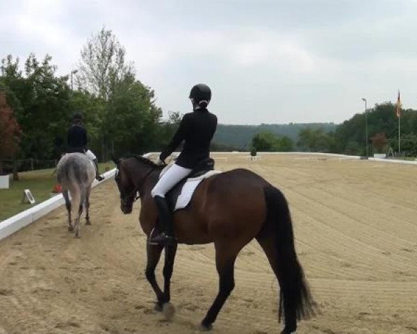 Sommerturnier Lohmar-Hausdorp 2015