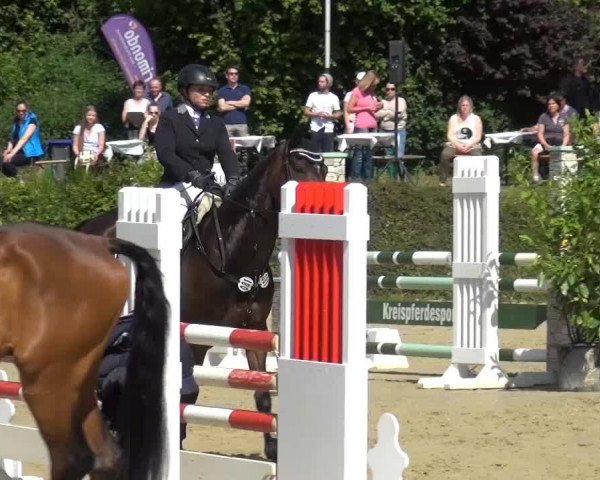 Sommerturnier Lohmar-Hausdorp 2015