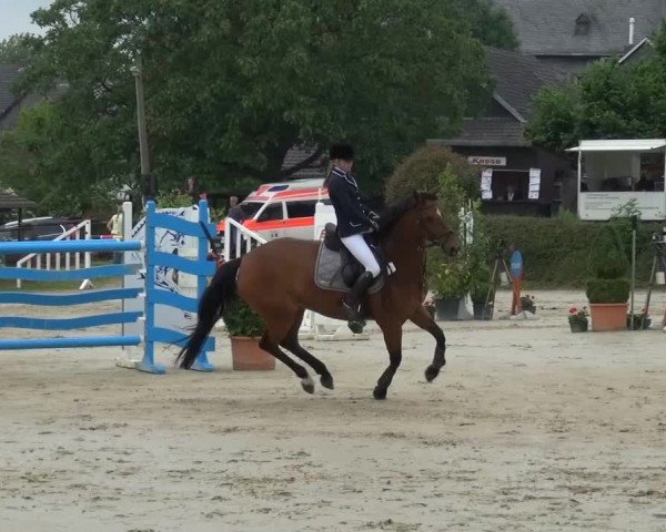 Sommerturnier Lohmar-Hausdorp 2015