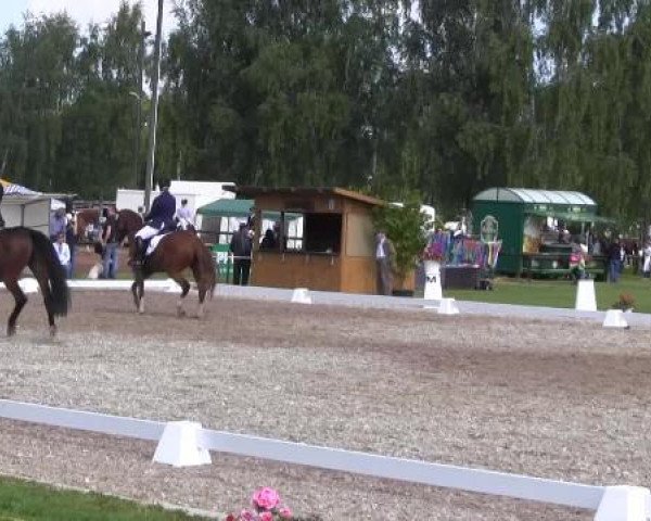 Großes Sommerturnier in Hille 2015