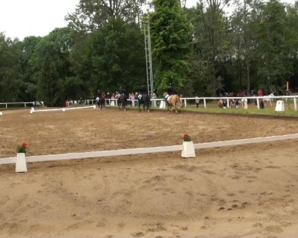 Düsseldorfer Reitertage 2015