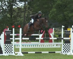 jumper A-Migo Chiara Mia M (Holsteiner, 2009, from Coronas 2)