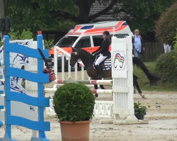 Sommerturnier Lohmar-Hausdorp 2015