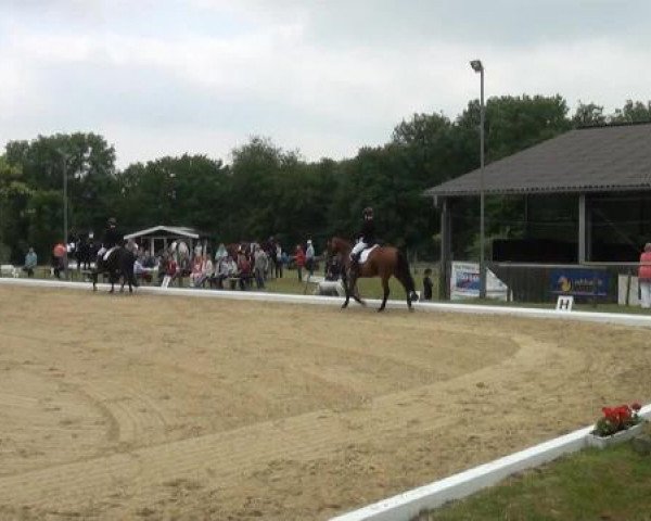 Sommerturnier Lohmar-Hausdorp 2015